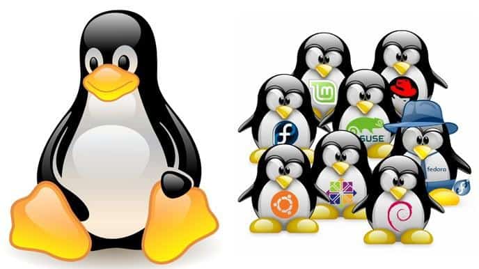 Bästa Linux-distributionerna 2024
